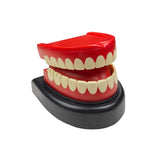 1987 Chattering Teeth