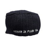 00s Hidden in Plain View