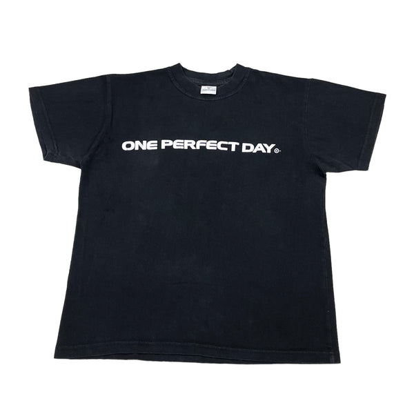 2004 One Perfect Day