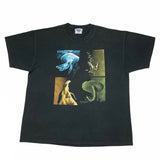 1998 Biodiversity - XL