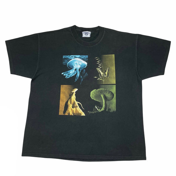 1998 Biodiversity - XL