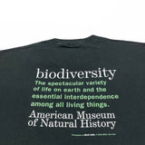 1998 Biodiversity - XL